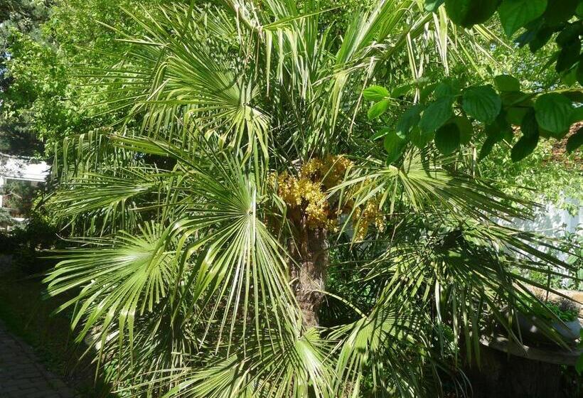 اتاق استاندارد, B&b De Kleine Wijngaard