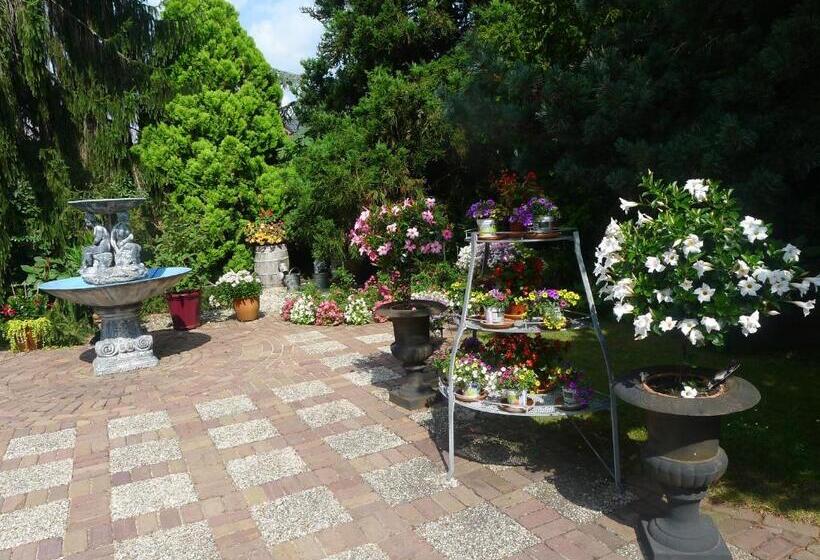 آپارتمان 2 خوابه, B&b De Kleine Wijngaard