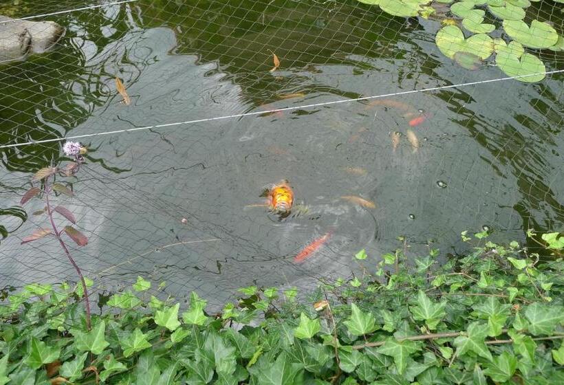 اتاق استاندارد, B&b De Kleine Wijngaard