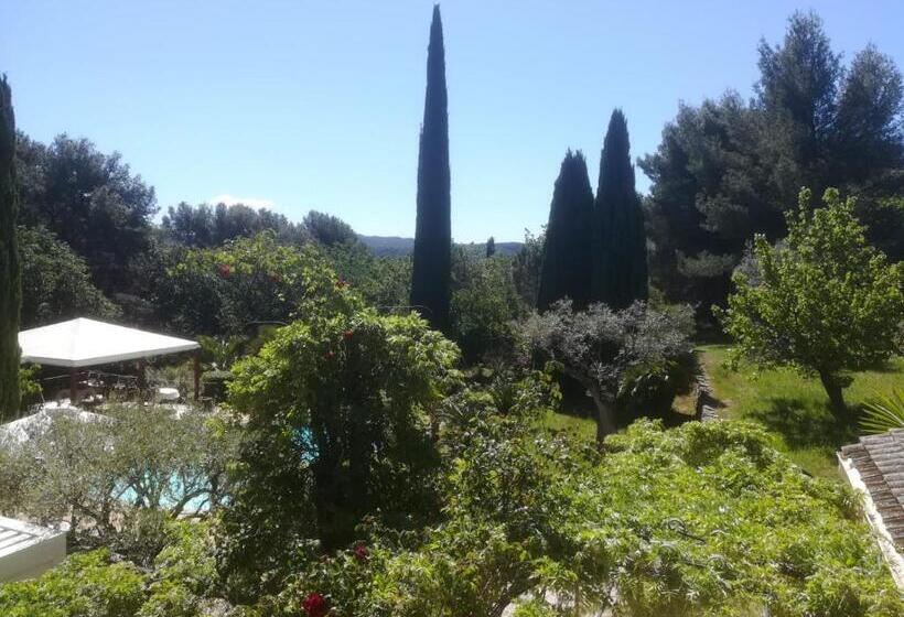 豪华房间, Mas Lei Bancau