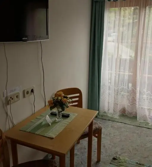 Habitació Estàndard Individual amb Balcó, Pension Maier