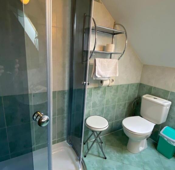 חדר סטנדרט, Penzión Vila Petra Bed&breakfast