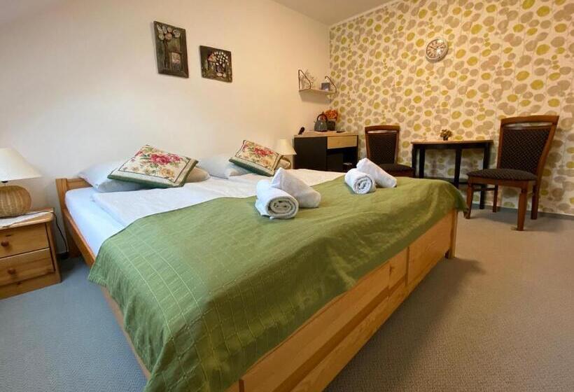 标准间, Penzión Vila Petra Bed&breakfast