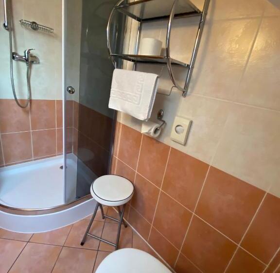 标准间, Penzión Vila Petra Bed&breakfast