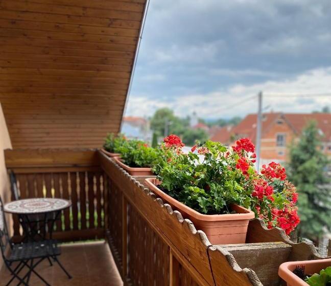 标准间带山景, Penzión Vila Petra Bed&breakfast