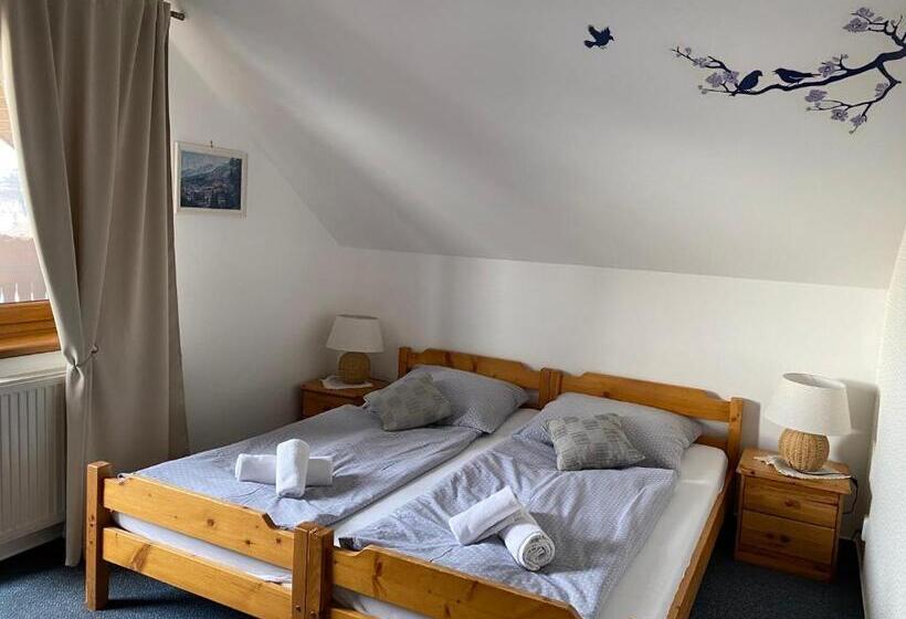 Номер Стандарт Вид на Горы, Penzión Vila Petra Bed&breakfast