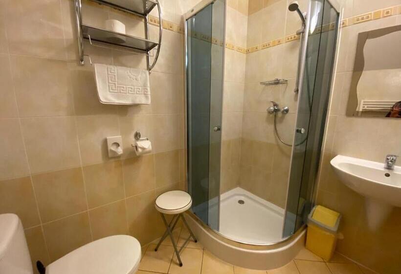 Номер Стандарт Вид на Сад, Penzión Vila Petra Bed&breakfast