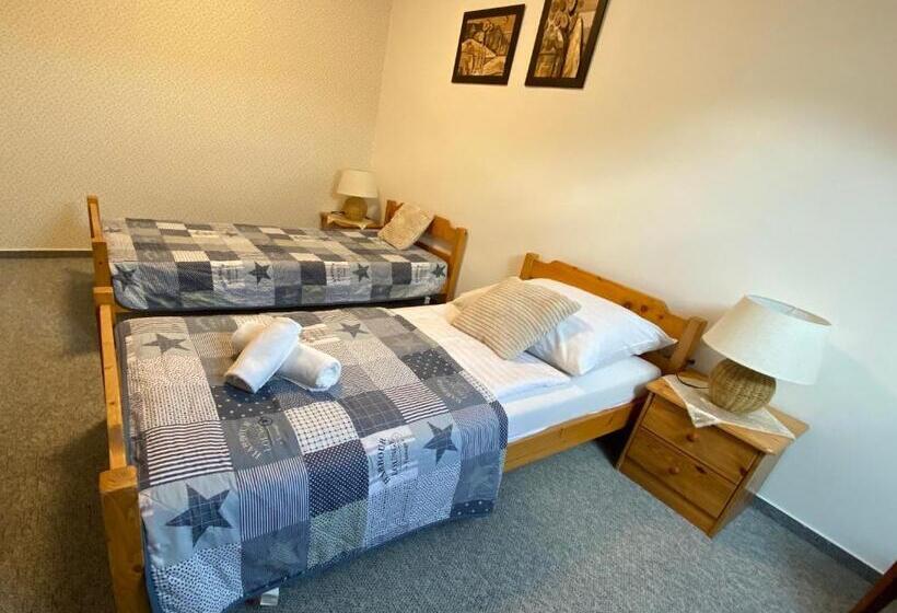 חדר סטנדרט נוף לגינה, Penzión Vila Petra Bed&breakfast