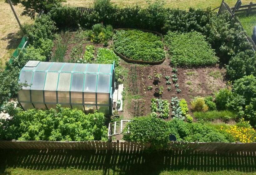 ペントハウス２ベッドルームアパート, Neu Schötzerhof