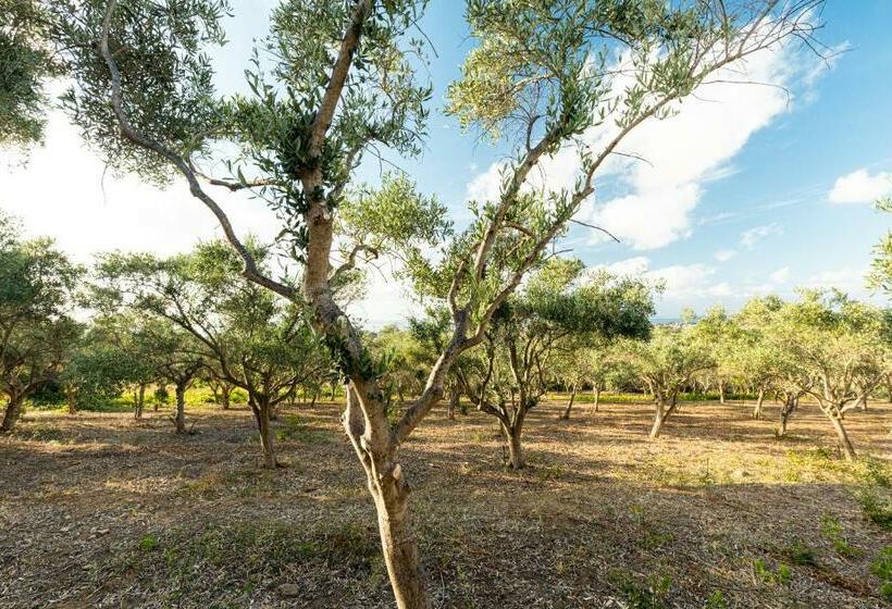 Студия Стандарт, Solemar Sicilia   Le Casette Di Calzata