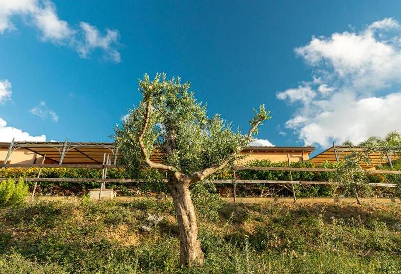 منزل غرفة نوم واحدة, Solemar Sicilia   Le Casette Di Calzata