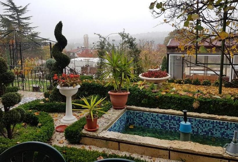 اتاق خانوادگی, Villa Summer House