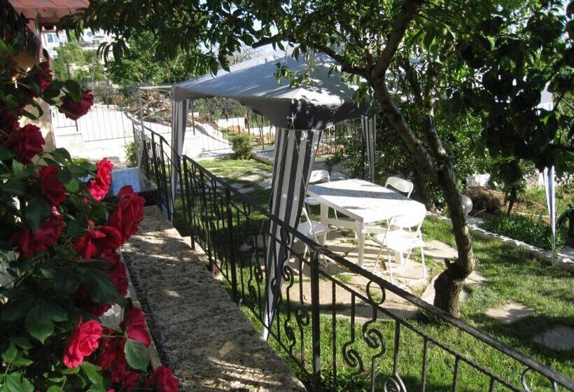 اتاق استاندارد سه تخته با چشمانداز باغ, Villa Summer House