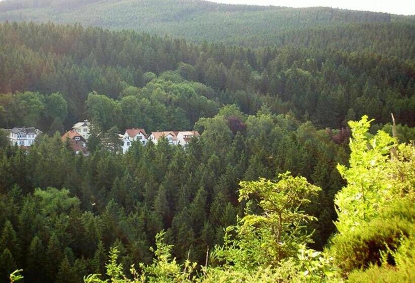 コンフォートルーム, Pension Waldesblick