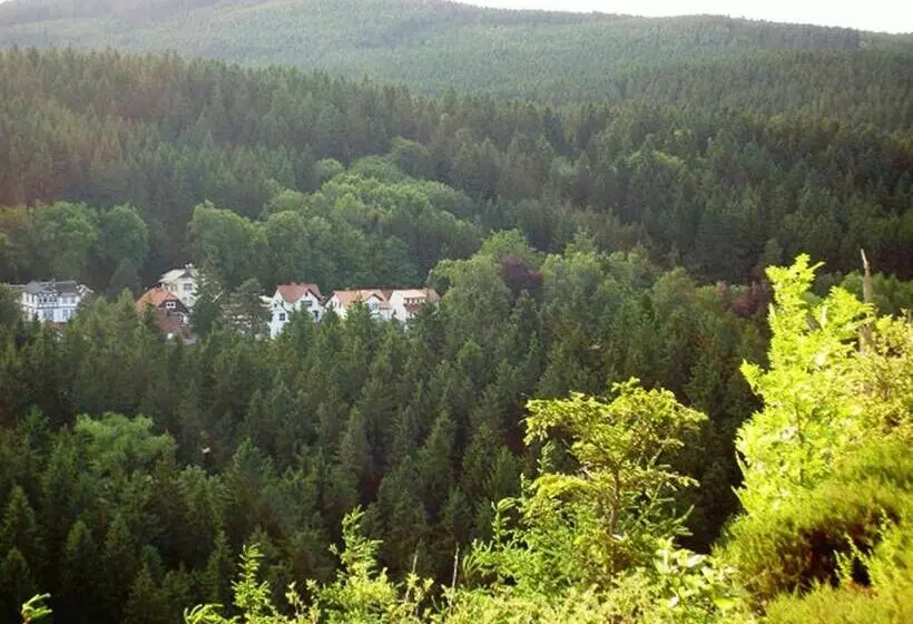 Comfort Room, Pension Waldesblick