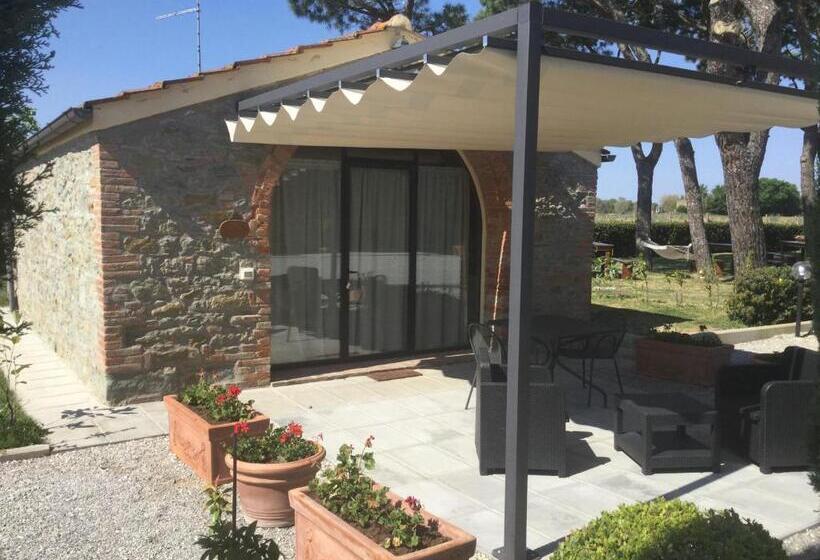 침실 1개 아파트, Terra Di Cortona