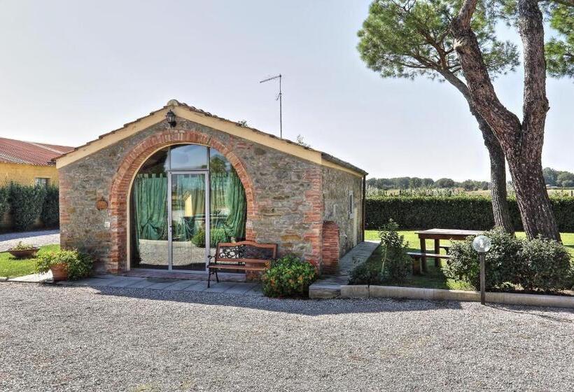 آپارتمان 1 خوابه, Terra Di Cortona