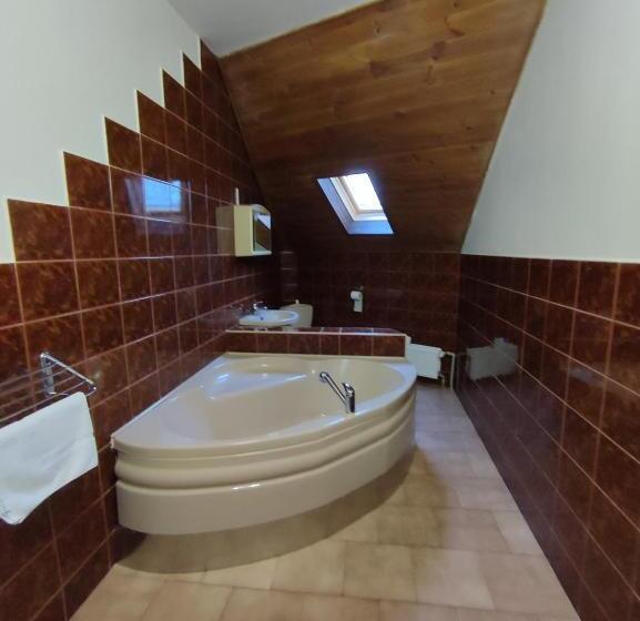 חדר סטנדרט לארבעה, Bohemia Excellent