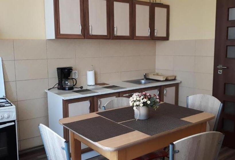 شقة غرفة واحدة, Villa Casa Ioana