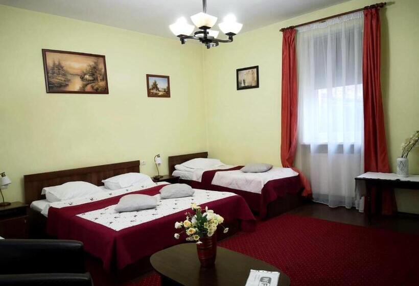 شقة غرفة واحدة, Villa Casa Ioana