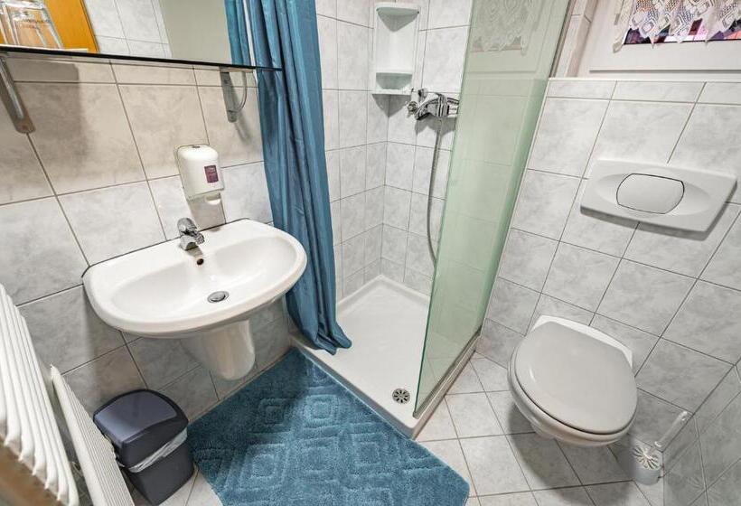 Standard-huone Terassi, Slovenian Traditional Guest House