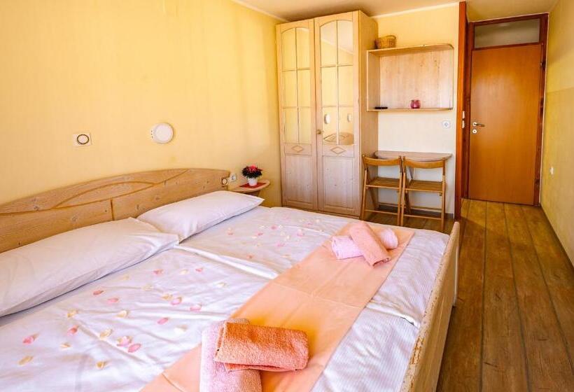 Standard-huone, Slovenian Traditional Guest House