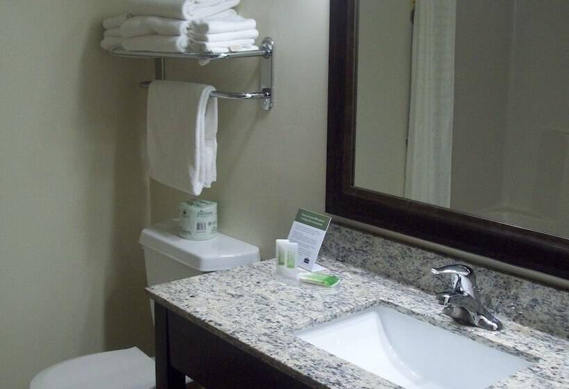 غرفه قياسيه سريرين مزدوجين, Americinn By Wyndham Silver City