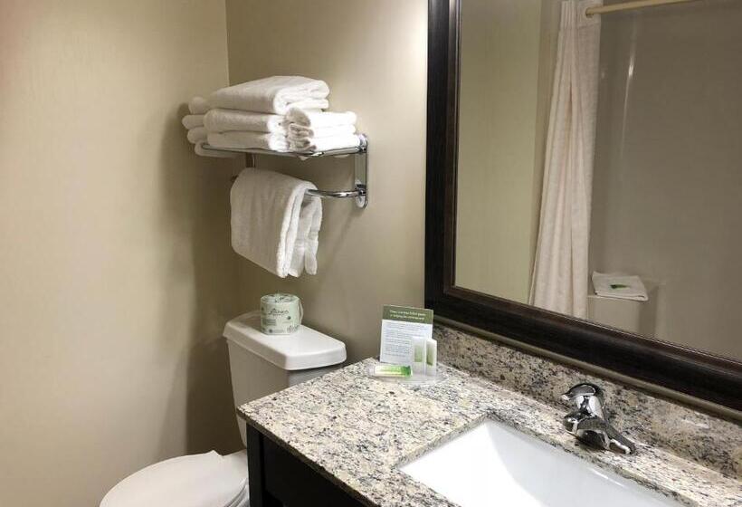 غرفة قياسية, Americinn By Wyndham Silver City