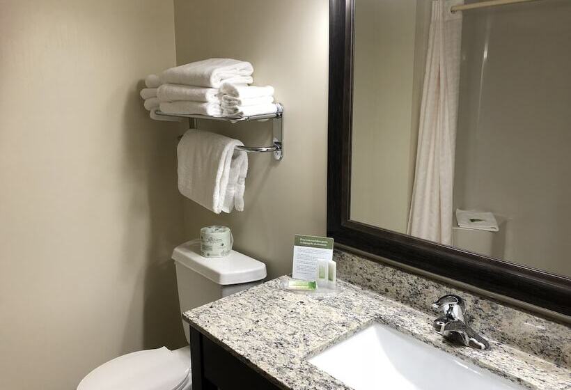 غرفه قياسيه سريرين مزدوجين, Americinn By Wyndham Silver City