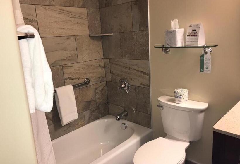 Номер Стандарт 2 Двуспальные Кровати, Best Western Plus Waterburystowe