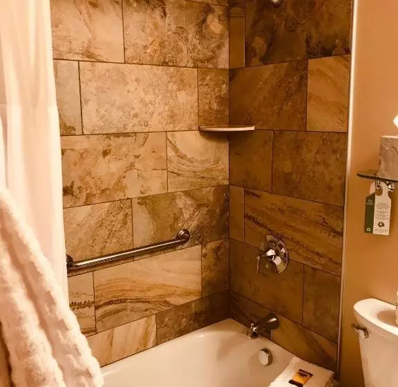 キングサイズベッドのスタンダードルーム, Best Western Plus Waterburystowe