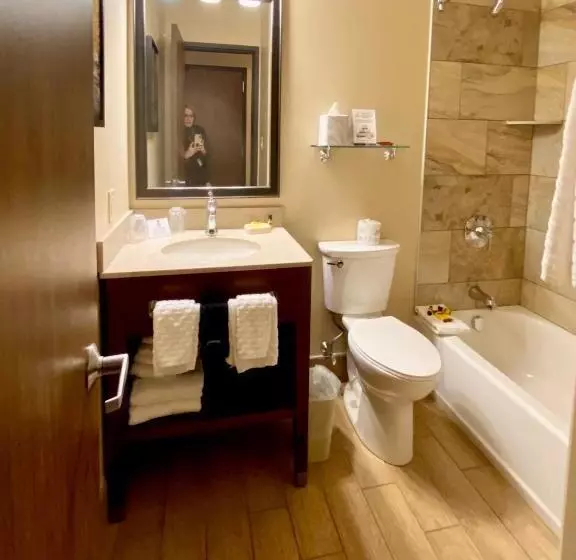 キングサイズベッドのスタンダードルーム, Best Western Plus Waterburystowe