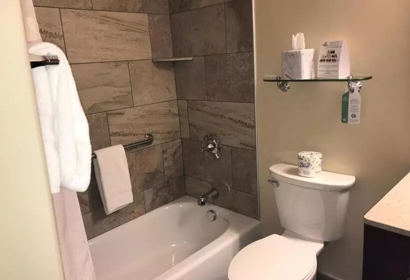 キングサイズベッドのスタンダードルーム, Best Western Plus Waterburystowe