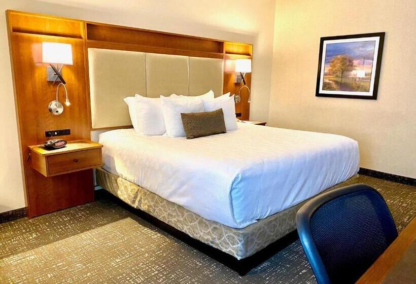 غرفة قياسية سرير كينج, Best Western Plus Waterburystowe