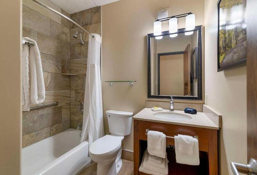 غرفة قياسية سرير كينج, Best Western Plus Waterburystowe
