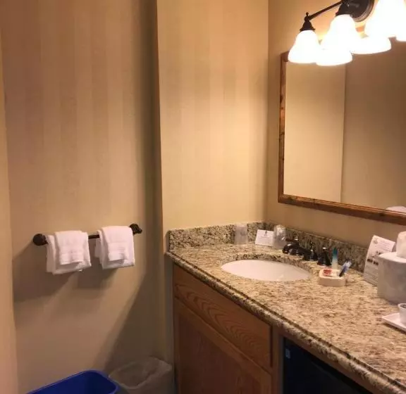 マウンテンビュースタンダードルーム, Best Western Plus Waterburystowe