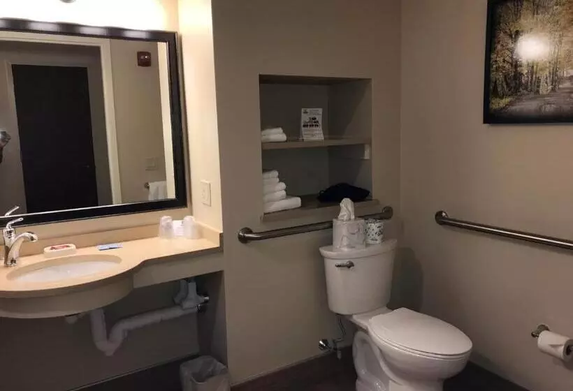 身障者適用スタンダードルーム, Best Western Plus Waterburystowe