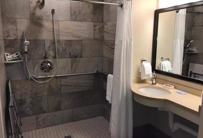 身障者適用スタンダードルーム, Best Western Plus Waterburystowe