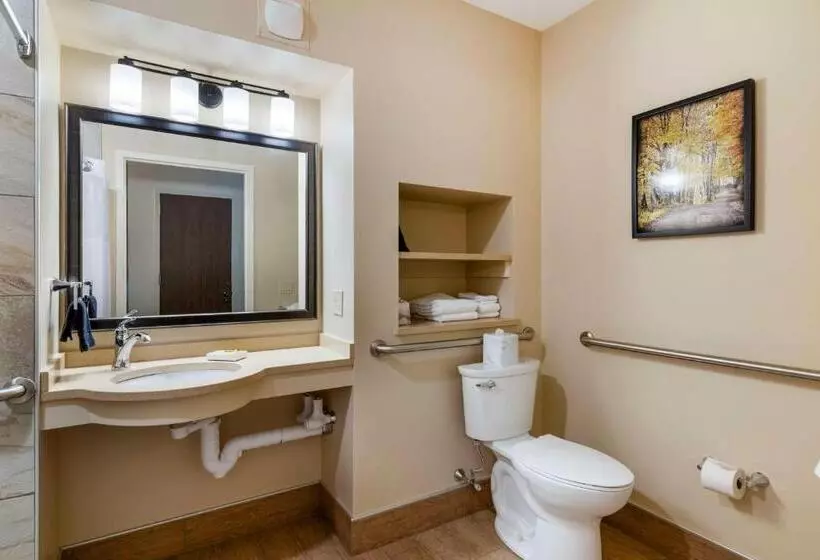身障者適用スタンダードルーム, Best Western Plus Waterburystowe