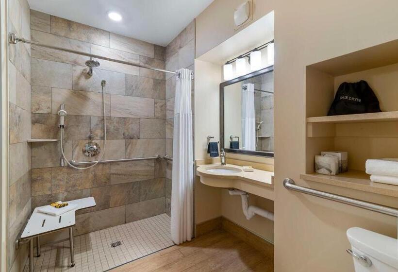 غرفة قياسية لذوى الاحتياجات الخاصة, Best Western Plus Waterburystowe