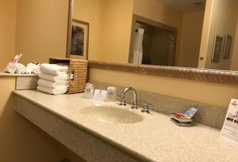 جناح لذوى الاحتياجات الخاصة, Best Western Plus Waterburystowe