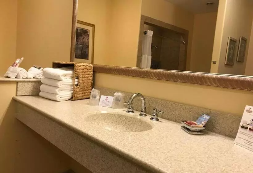 身障者適用スイートルーム, Best Western Plus Waterburystowe