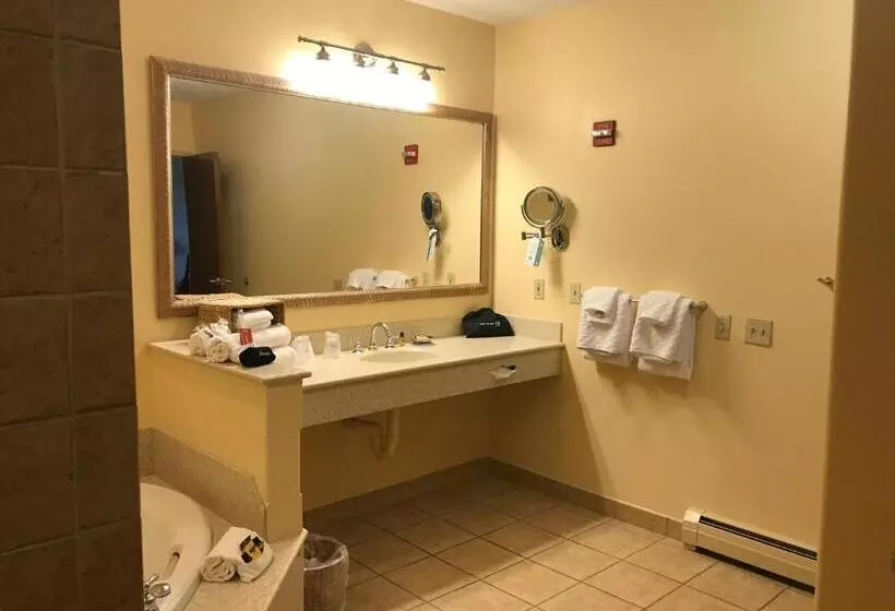 身障者適用スイートルーム, Best Western Plus Waterburystowe