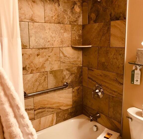 جناح إدارى سرير كينج, Best Western Plus Waterburystowe