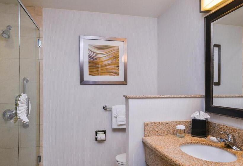 带大床的标准间, Courtyard By Marriott San Luis Obispo