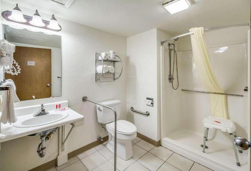 Номер Стандарт Адаптированный для Инвалидов, Econo Lodge, Downtown Custer Near Custer State Park And Mt Rushmore