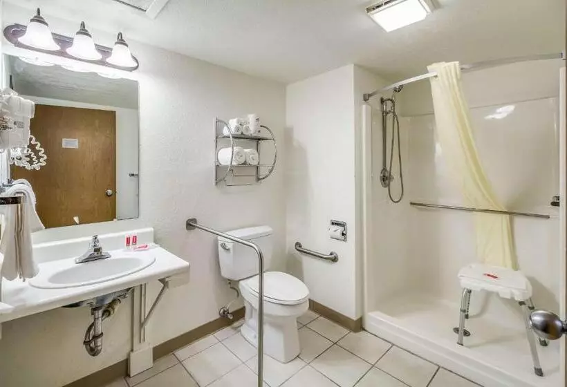 身障者適用スタンダードルーム, Econo Lodge, Downtown Custer Near Custer State Park And Mt Rushmore