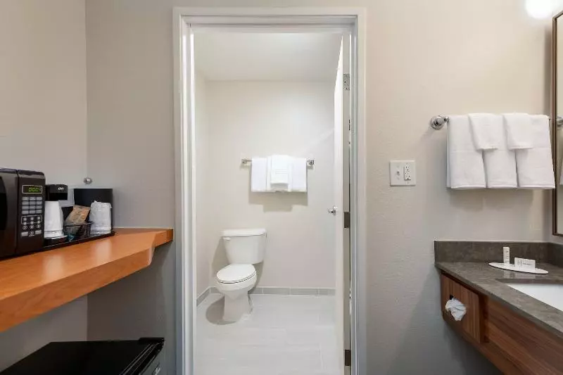 キングサイズベッドのスタンダードルーム, Fairfield Inn & Suites Savannah Airport