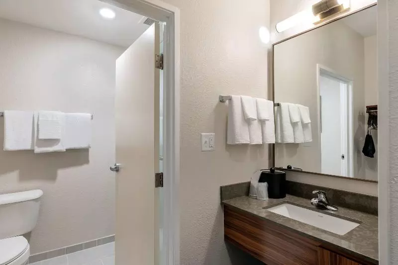 キングサイズベッドのスタンダードルーム, Fairfield Inn & Suites Savannah Airport
