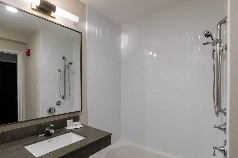 キングサイズベッドのスタンダードルーム, Fairfield Inn & Suites Savannah Airport